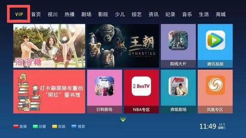 国产福利视频中文专区,精彩纷呈，尽享视听盛宴