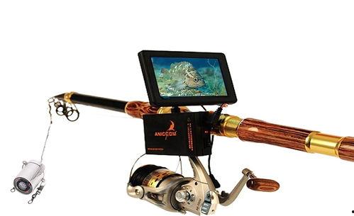 国产出口鱼竿视频,出口视频揭秘