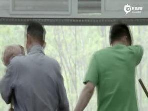 国产视频 自乱拍,国产短视频的创意与魅力探索