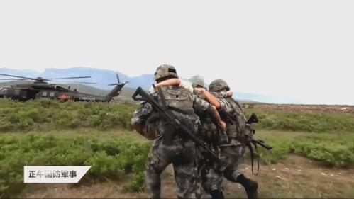 我们的国产步枪图片视频,传承与创新，铸就民族枪械辉煌