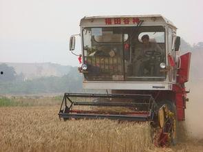 国产农机出口工作视频