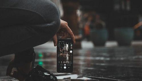 国产老虎抖音版视频,萌态可掬，国货之光闪耀网络