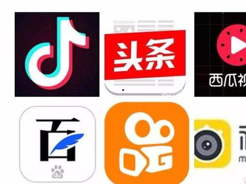 国产老虎抖音版视频,萌态可掬，国货之光闪耀网络