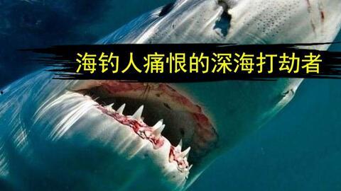 国产海洋巨兽视频,揭秘我国海洋科技新突破
