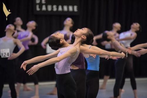 国产芭蕾舞视频大全,国产芭蕾舞视频大全赏析