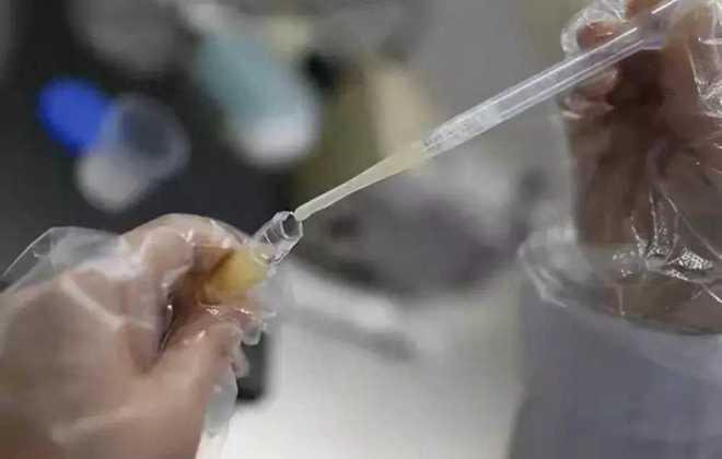 国产精子窝在线视频免费,揭秘免费在线视频的精子采集与储存秘密