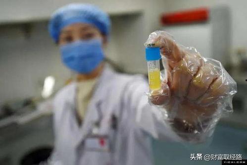 国产精子窝在线视频免费,揭秘免费在线视频的精子采集与储存秘密