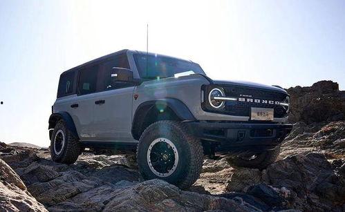 烈马国产真假鉴别图片视频,图片视频揭秘真伪之谜