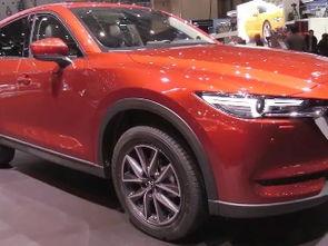 国产柴油suv视频播放  第1张