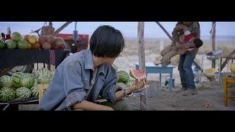 国产偷伦视频电影,揭秘隐秘角落的激情与诱惑  第2张