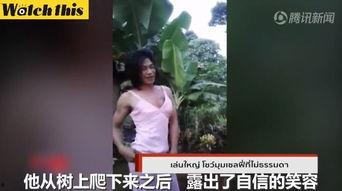 国产人妖韩若曦其他视频,国产视频中的独特魅力与多元文化探索  第3张