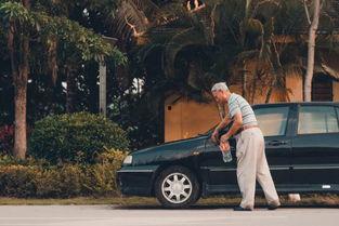 国产一哥之争完整视频,巅峰对决,谁将问鼎荣耀巅峰? 第1张 国产一哥之争完整视频,巅峰对决,谁将问鼎荣耀巅峰? 第1张