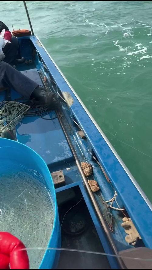 狂拉鱼货视频在线观看国产,国产生态养殖的精彩瞬间  第2张