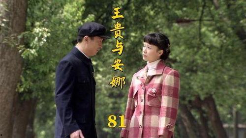 国产都市剧解说合集视频,盘点热门剧集精彩瞬间  第2张