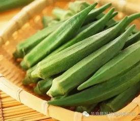 秋葵视频国产成人版下载,下载攻略与内容解析